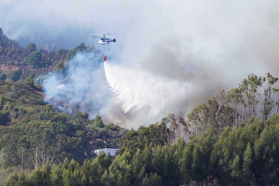 Consume incendio 6 mil hectáreas en la Gran Canaria y miles de personas desalojan
