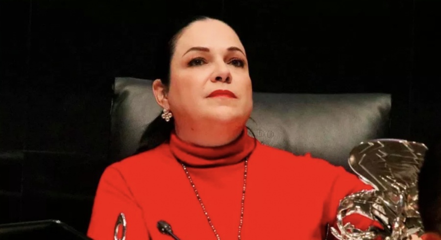 Elige Morena a Mónica Fernández Balboa para que presida el Senado