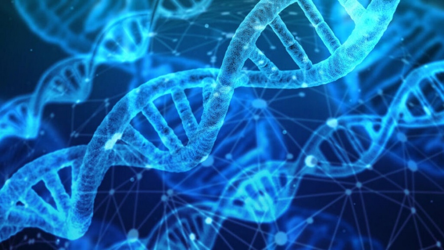 Nuevo método de observación del ADN ayudaría a prevenir enfermedades