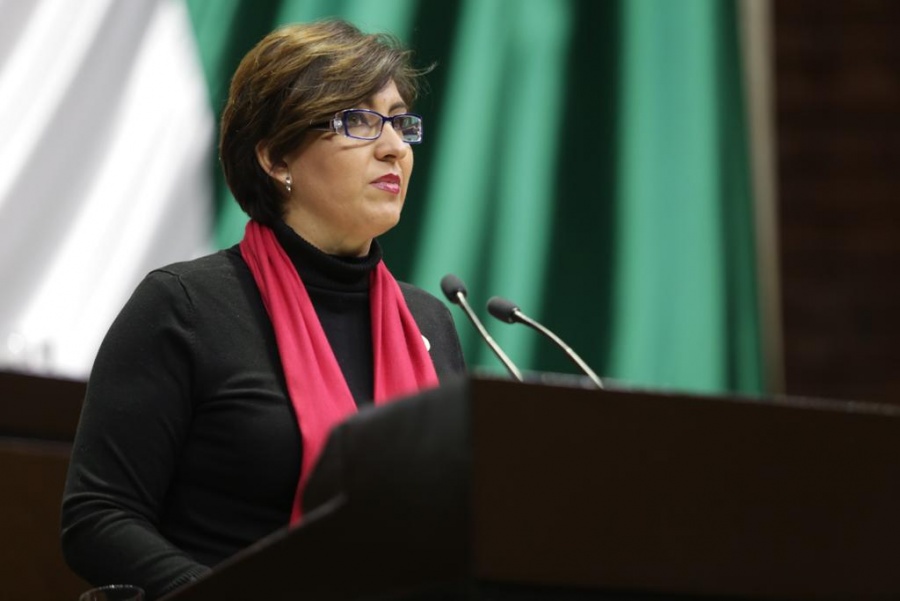 Programas sociales no debe ser para promoción personal o partidista como lo hace actualmente el Ejecutivo federal: Almeida López