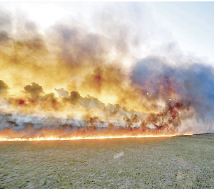 Se incendia el Amazonía y Bolsarano culpa a las ONG