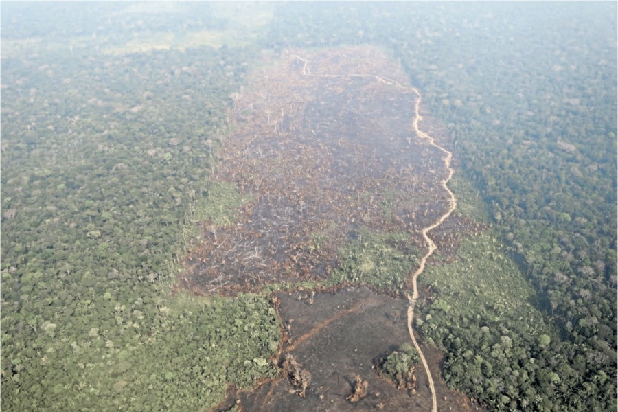 Brasil sin recursos para combatir incendios en Pulmón Del Planeta