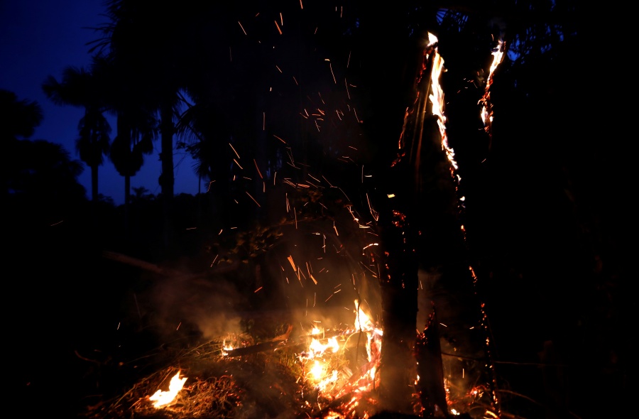 Ofrece México apoyo a Brasil para combatir incendios en el Amazonas
