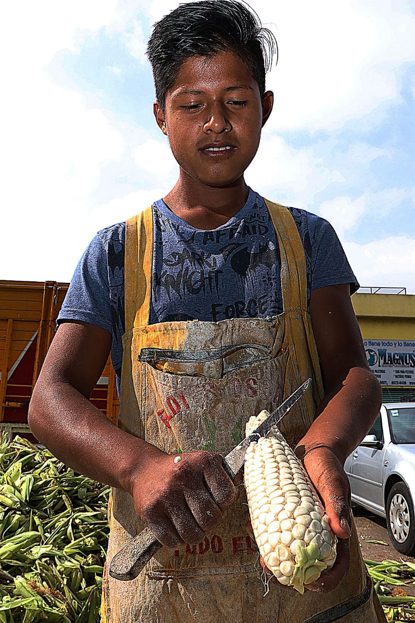 Invitan a la Romería de elote Cacahuazintle en la Ceda