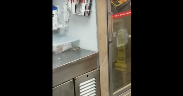 Así cayó un ratón a una freidora de papas