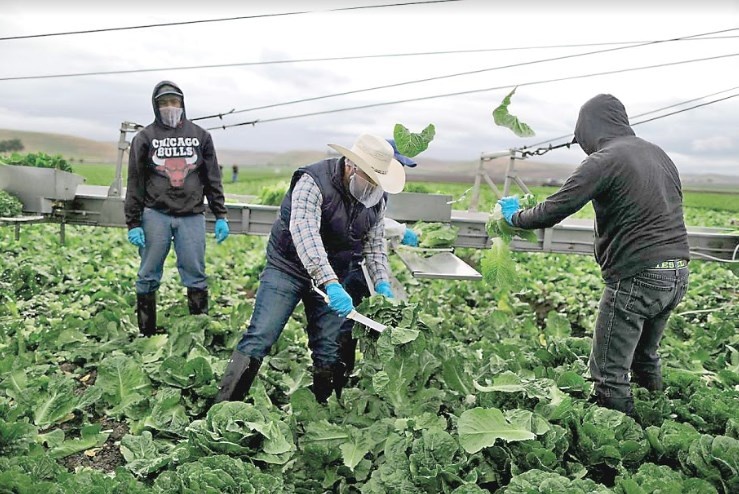 Remesas históricas, crecen 14.4% en julio