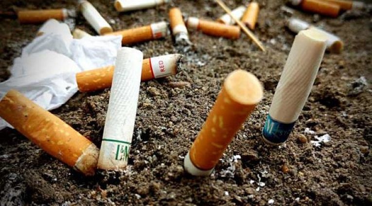 Colillas de cigarro contaminarían más que los popotes