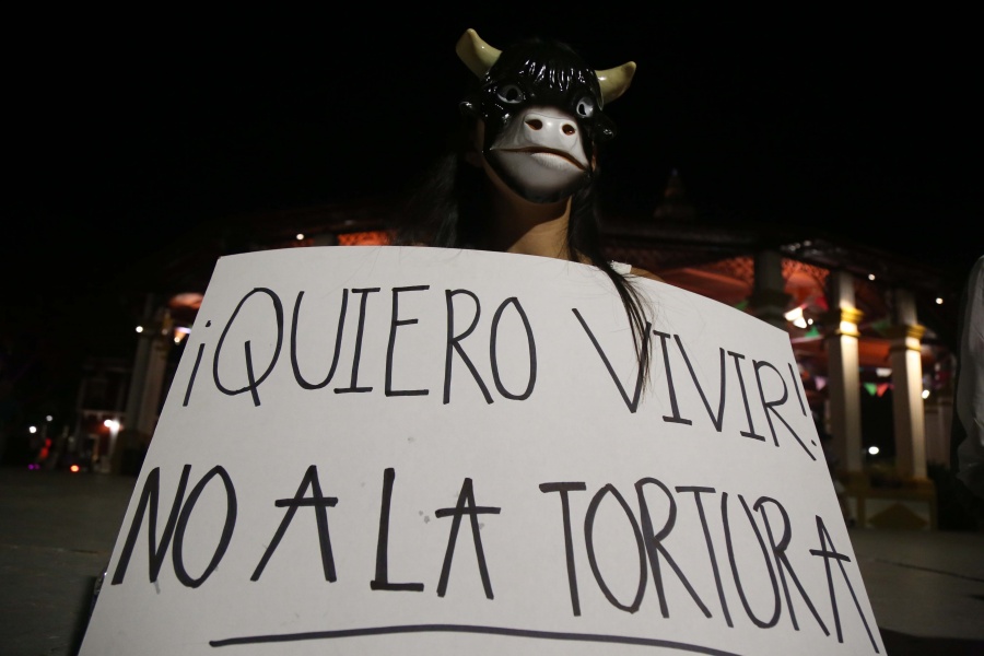 Corridas de toros, a consulta popular, propone López Obrador