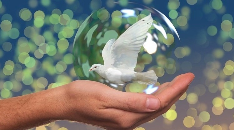 Con enfoque climático, conmemoran el Día Internacional de la Paz