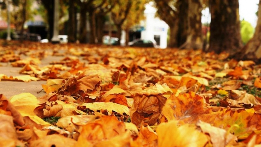 Este lunes llega el otoño con ingreso de primer frente frío