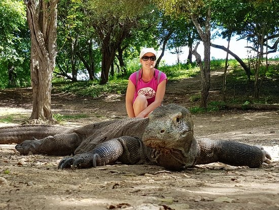 Descarta Indonesia cerrar la isla de Komodo al turismo