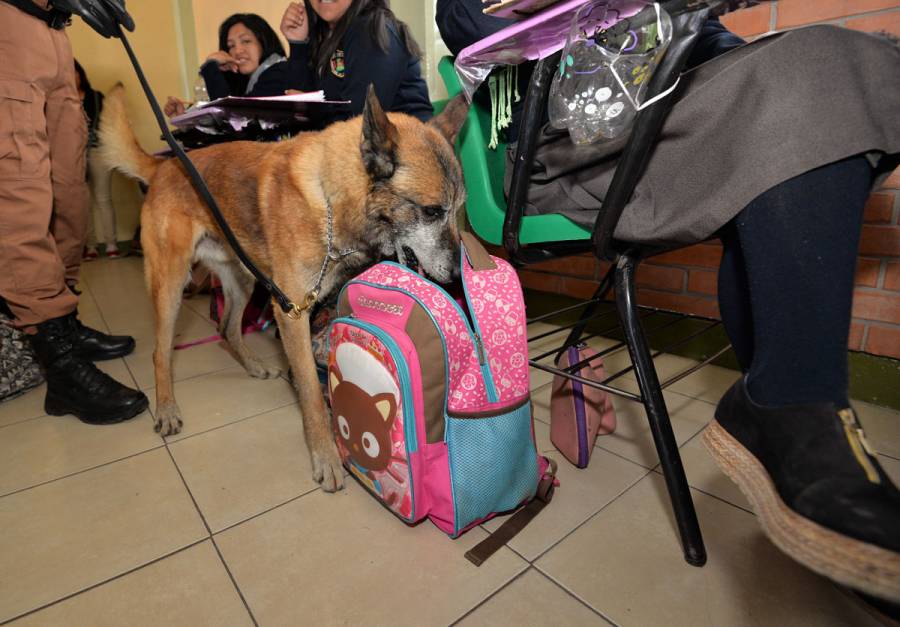 Suprema Corte analizará implementar operativo “Mochila Segura”