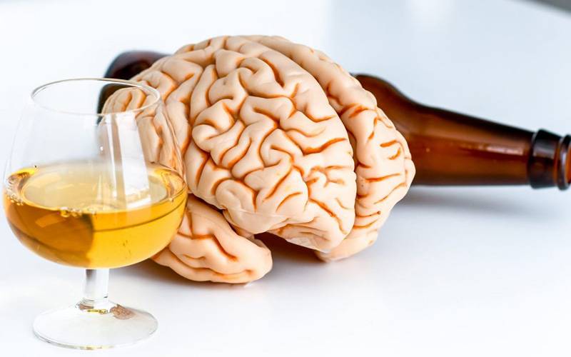 Descubren circuito cerebral que controla consumo de alcohol
