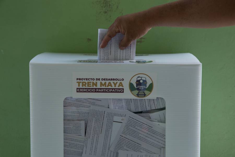Anuncian que en enero inician las licitaciones de Tren Maya 