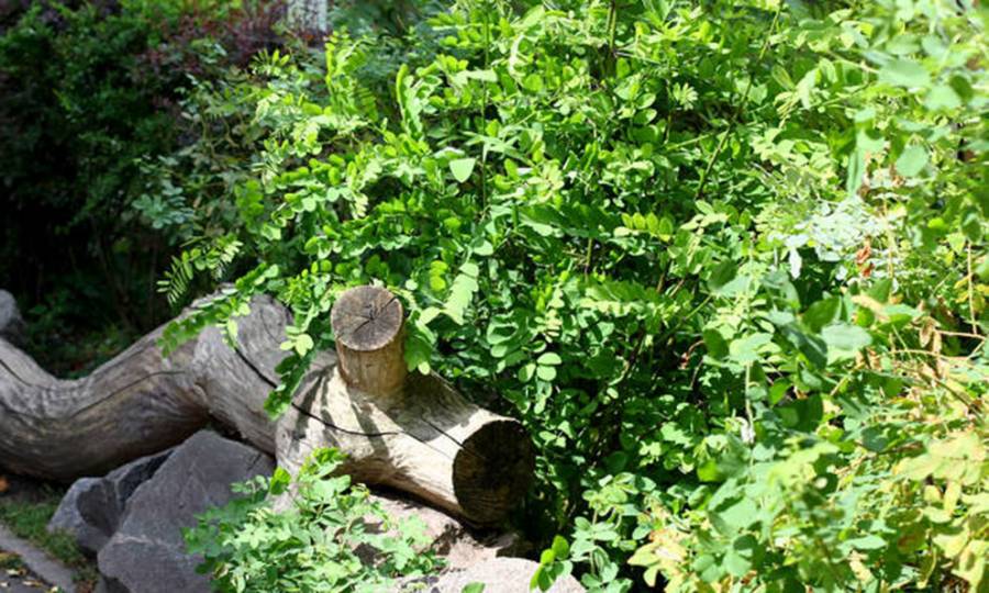 Emiten recomendaciones ante fuertes vientos en el municipio de Soledad