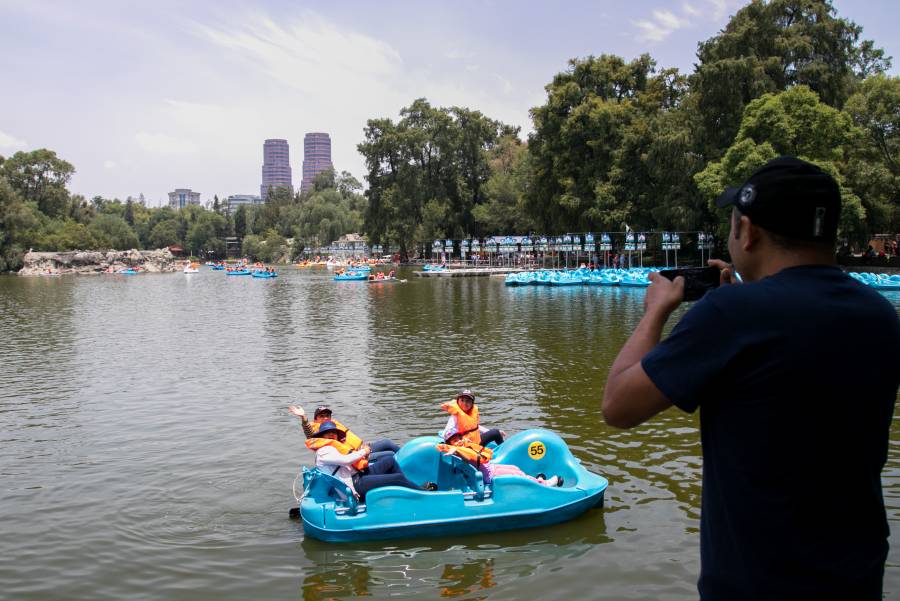 Reportan sismo de 3.8 grados al sur del Bosque de Chapultepec