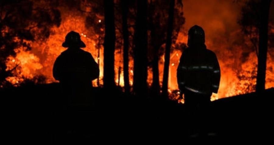 Asciende a 21 la cifra de muertos por incendios forestales en Australia