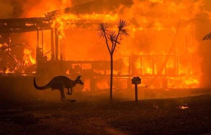 23 muertos y 1,500 casas destruidas dejan incendios en Australia