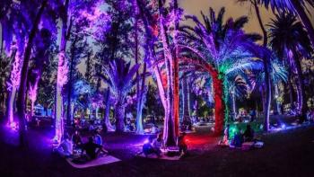 Llega el primer picnic nocturno al Bosque de Chapultepec