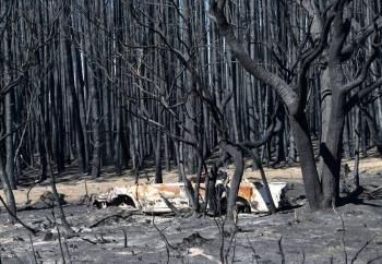 Australia destina dos mil mdd para da&ntilde;os por incendios