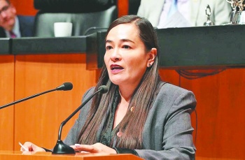Buscan reformar la ley org&aacute;nica en San L&aacute;zaro
