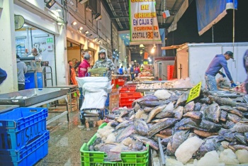 En 2019 Retienen de La Viga mil toneladas de pescado