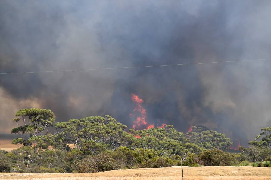 México y varios países lamentan incendios en Australia