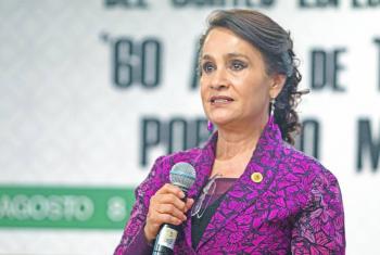 ...E insistir&aacute;n en C&aacute;mara baja con la disminuci&oacute;n
