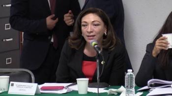 Pide diputada incluir en el C&oacute;digo Penal Federal el robo de cosechas