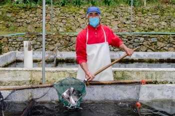 Segalmex vender&aacute; pescados a trav&eacute;s de Diconsa