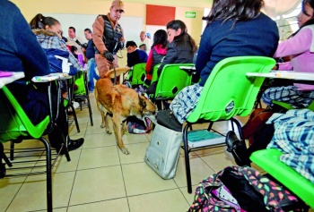 Vuelve Mochila Segura en Coahuila por tiroteo