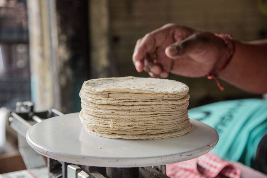 Kilo de tortilla alcanza hasta los 18 pesos por 