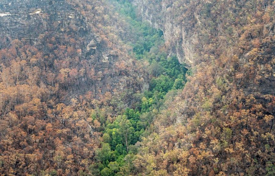 Intensas lluvias dan tregua contra incendios en Australia
