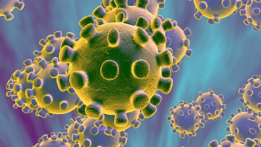 Nuevo coronavirus chino sigue cruzando fronteras