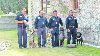 Con perros rescatados evitan plagas en el pa&iacute;s