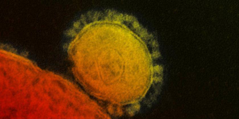 Ascienden a 17 los fallecidos por coronavirus en China