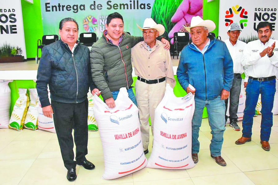 Benefician a 250 campesinos de Soledad, SLP, con semillas de alfalfa