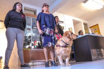 Capacitan a 100 oficiales del Senasica en derechos humanos
