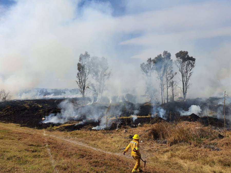 Sin lesionados incendio en la Ciénega Grande de Xochimilco