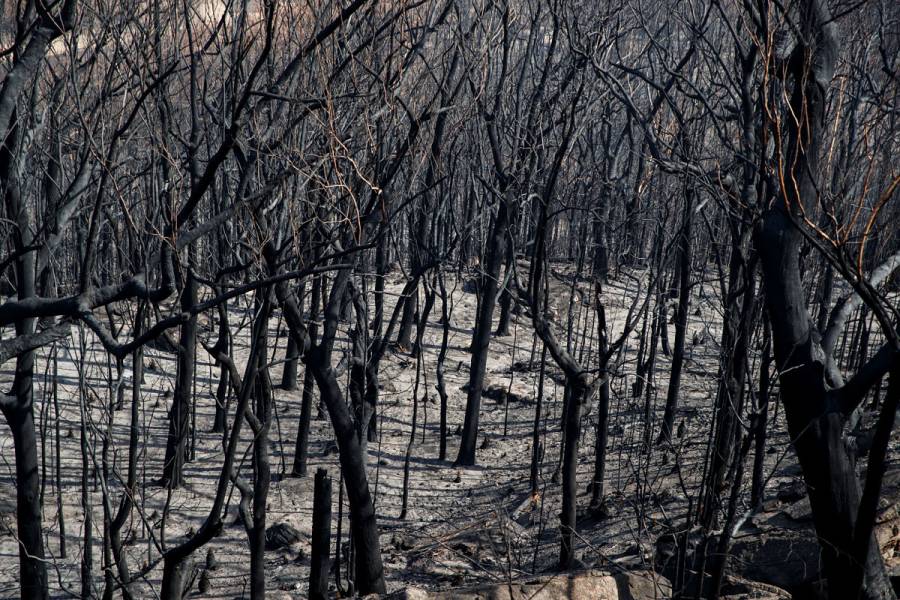Australia en nuevo riesgo de calor y fuego