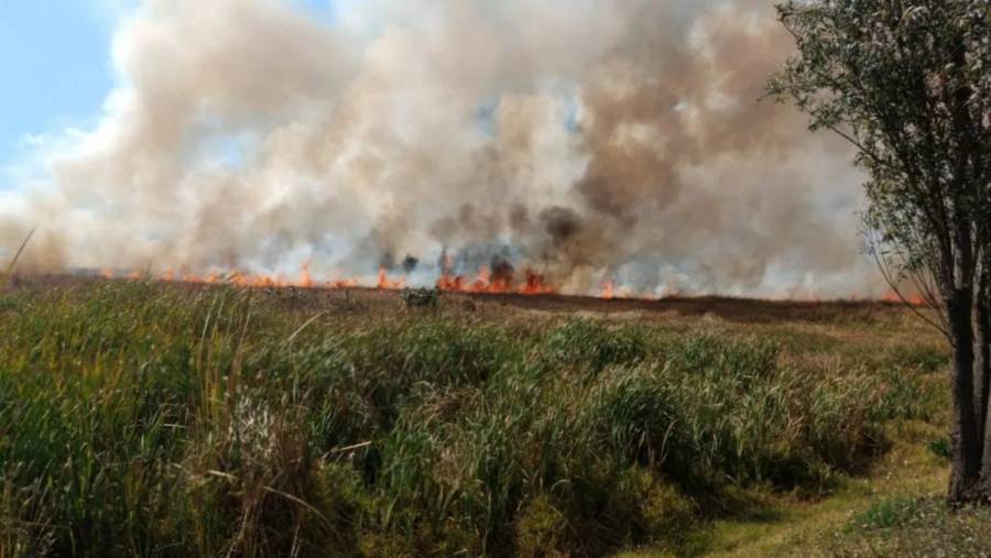 Reportan incendio en pastizales de Xochimilco
