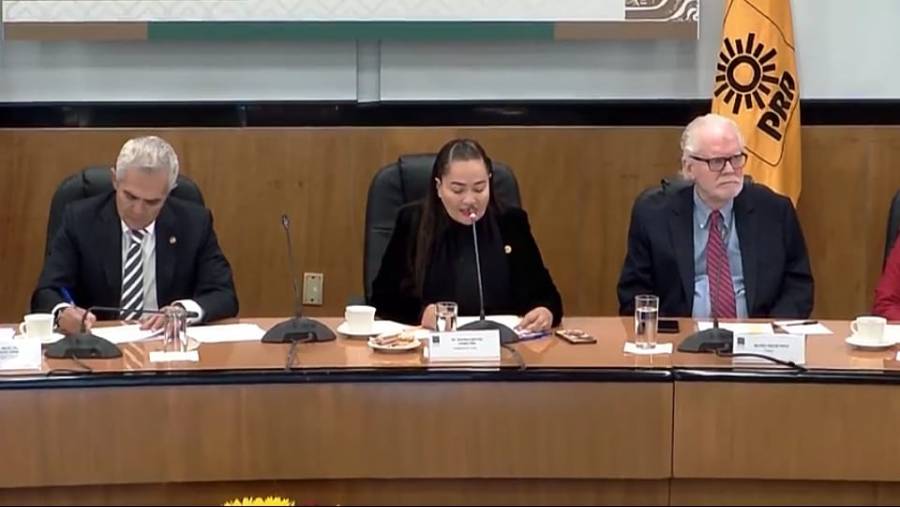 La agenda legislativa del PRD, más allá de la agenda del presidente: Juárez Piña