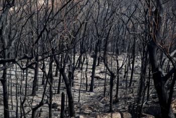 Australia en nuevo riesgo de calor y fuego