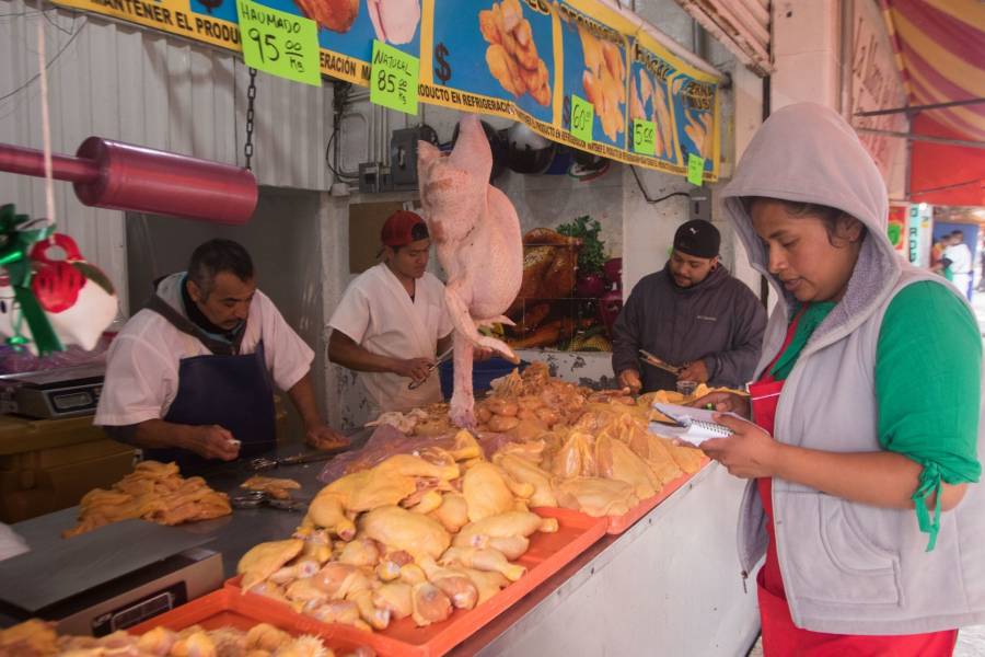 Garantizan abasto de pollo en el país