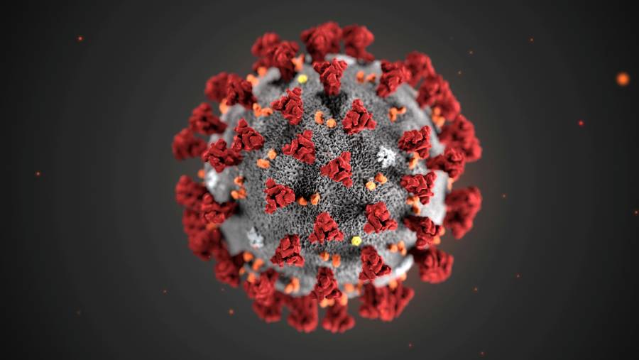 Mantiene Corea del Sur en cuarentena por coronavirus a 61 personas