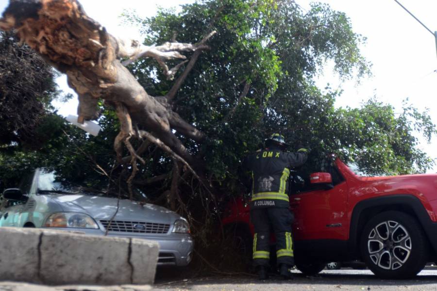 Activan Alerta Amarilla por fuertes vientos en la CDMX