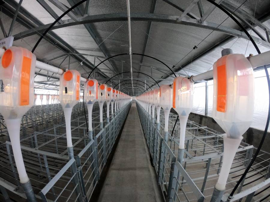 Agricultura y Guanajuato entregan Centro de Reproducci&oacute;n e Innovaci&oacute;n Animal