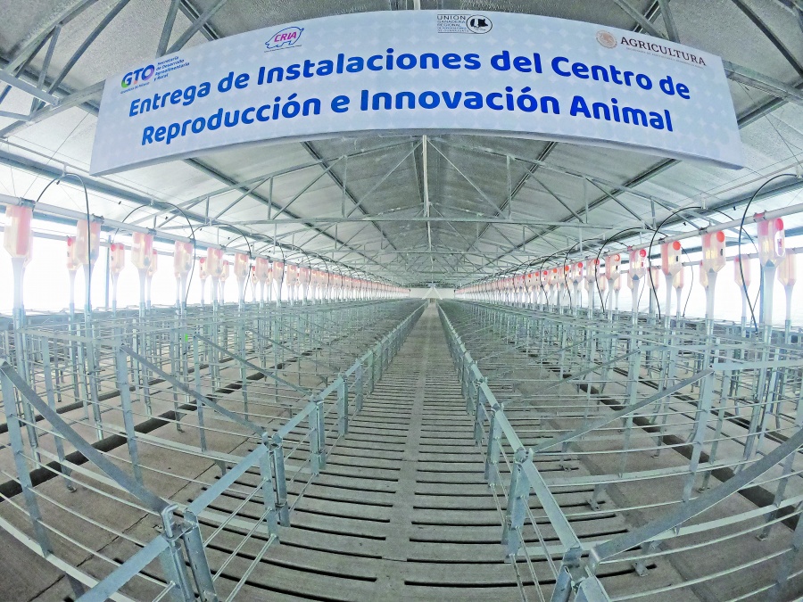 Entregan instalación porcícola de alto nivel