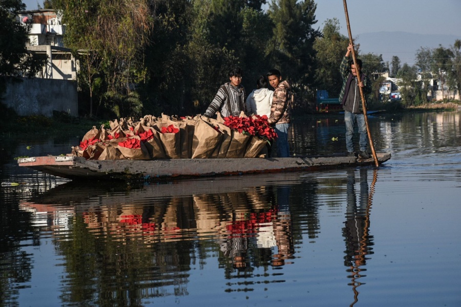 INFODF pide a Xochimilco revelar sus gastos de 2019 