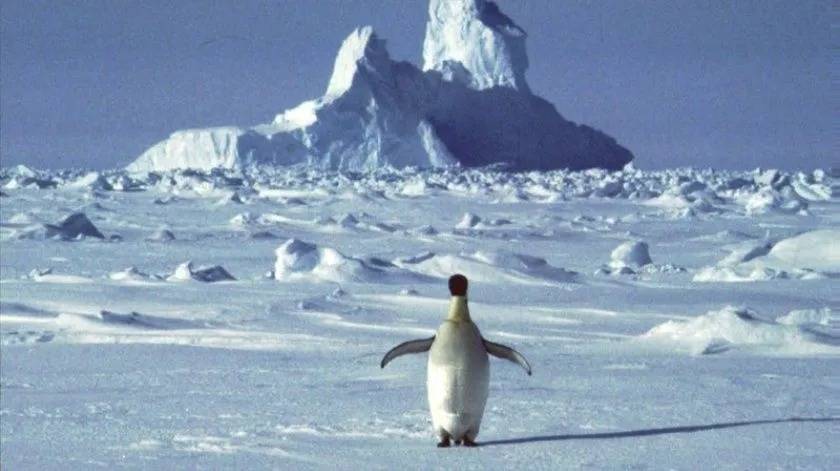Registra La Antártida temperatura récord de 18.3 grados
